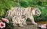 Фигурка - Тигр белый, размер 13 х 3 х 6 см.  - миниатюра №3
